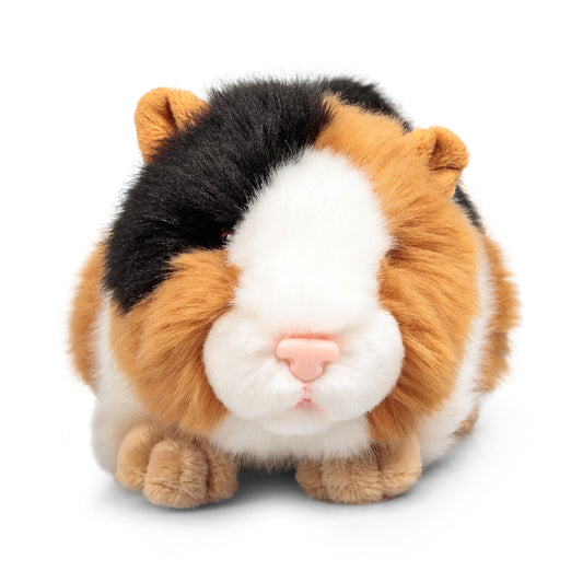 Animigos World Of Nature Guinea Pig Plush Toy