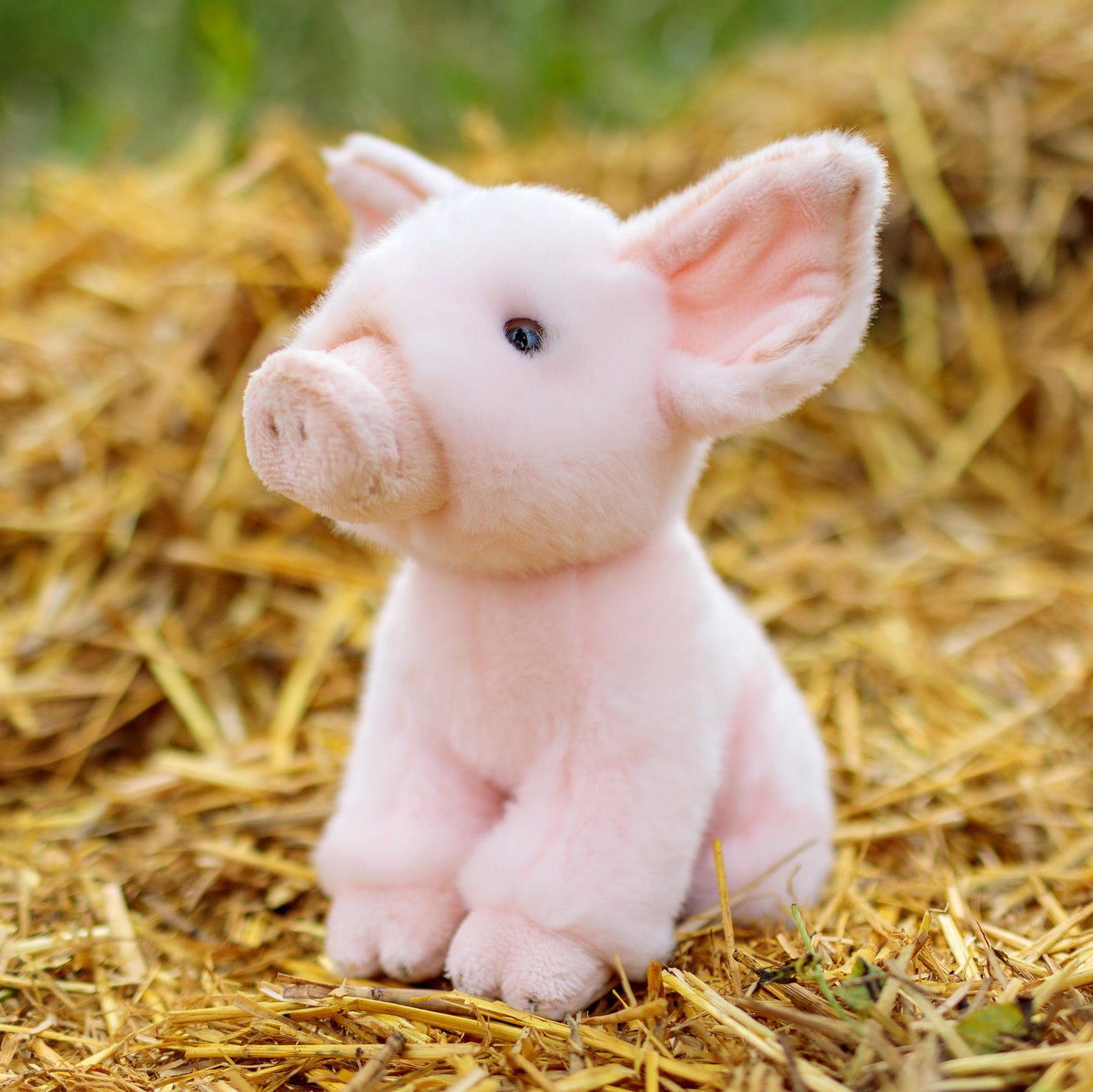 Animigos World Of Nature Piglet Plush Toy