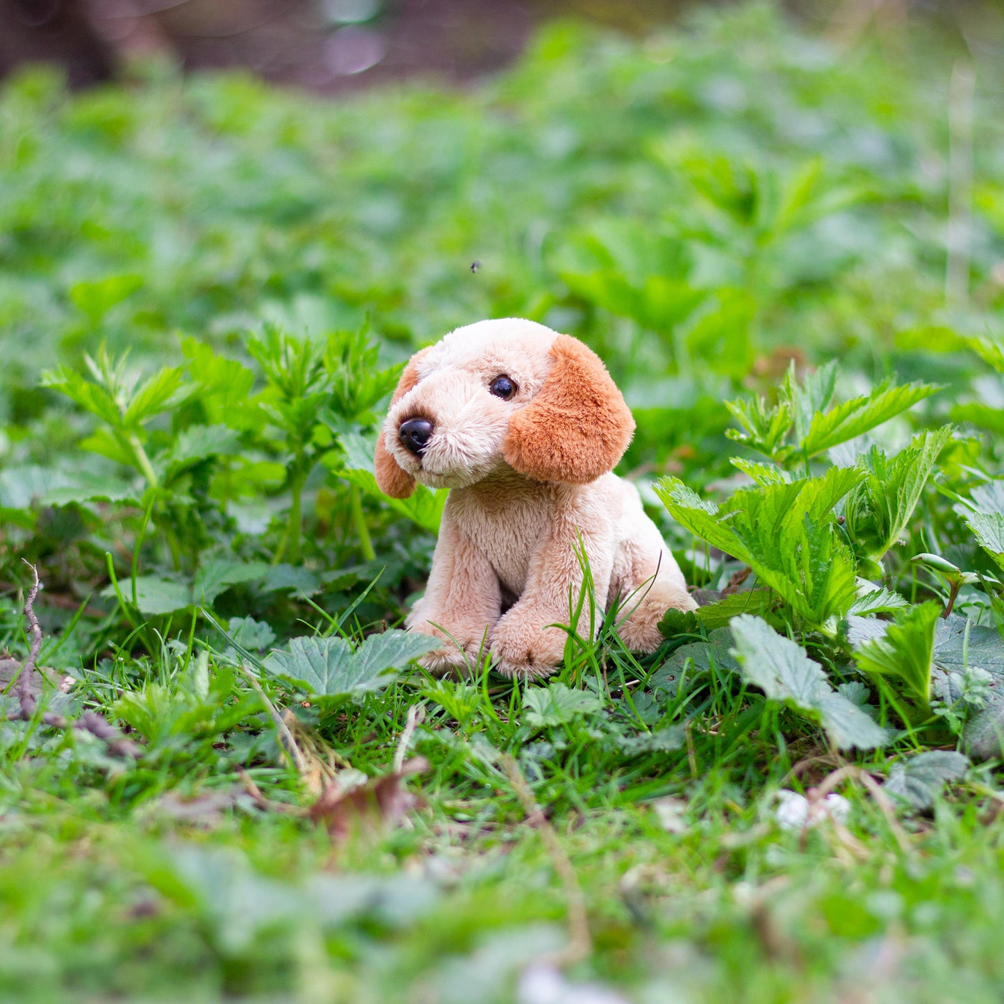 Animigos World Of Nature Mini Cockapoo soft cuddly toy