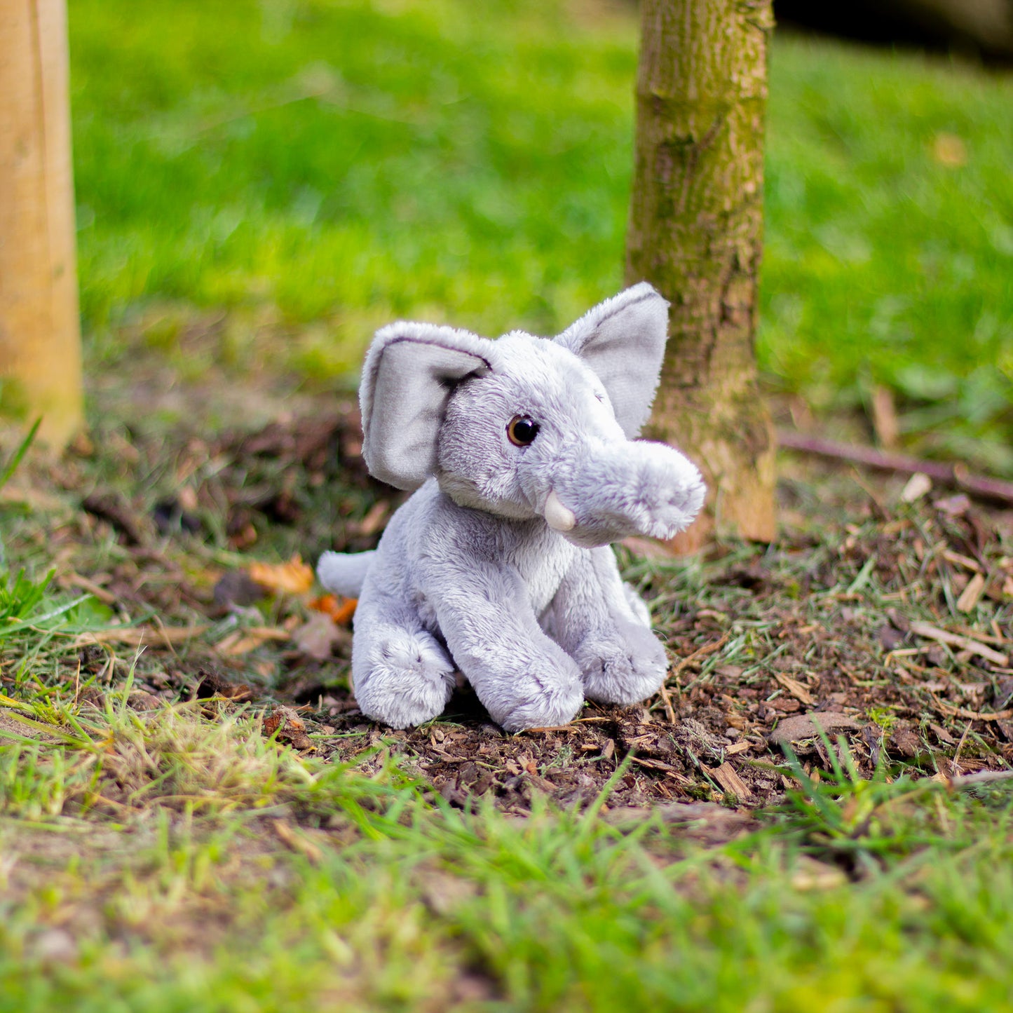 Animigos World Of Nature Mini Elephant soft cuddly toy