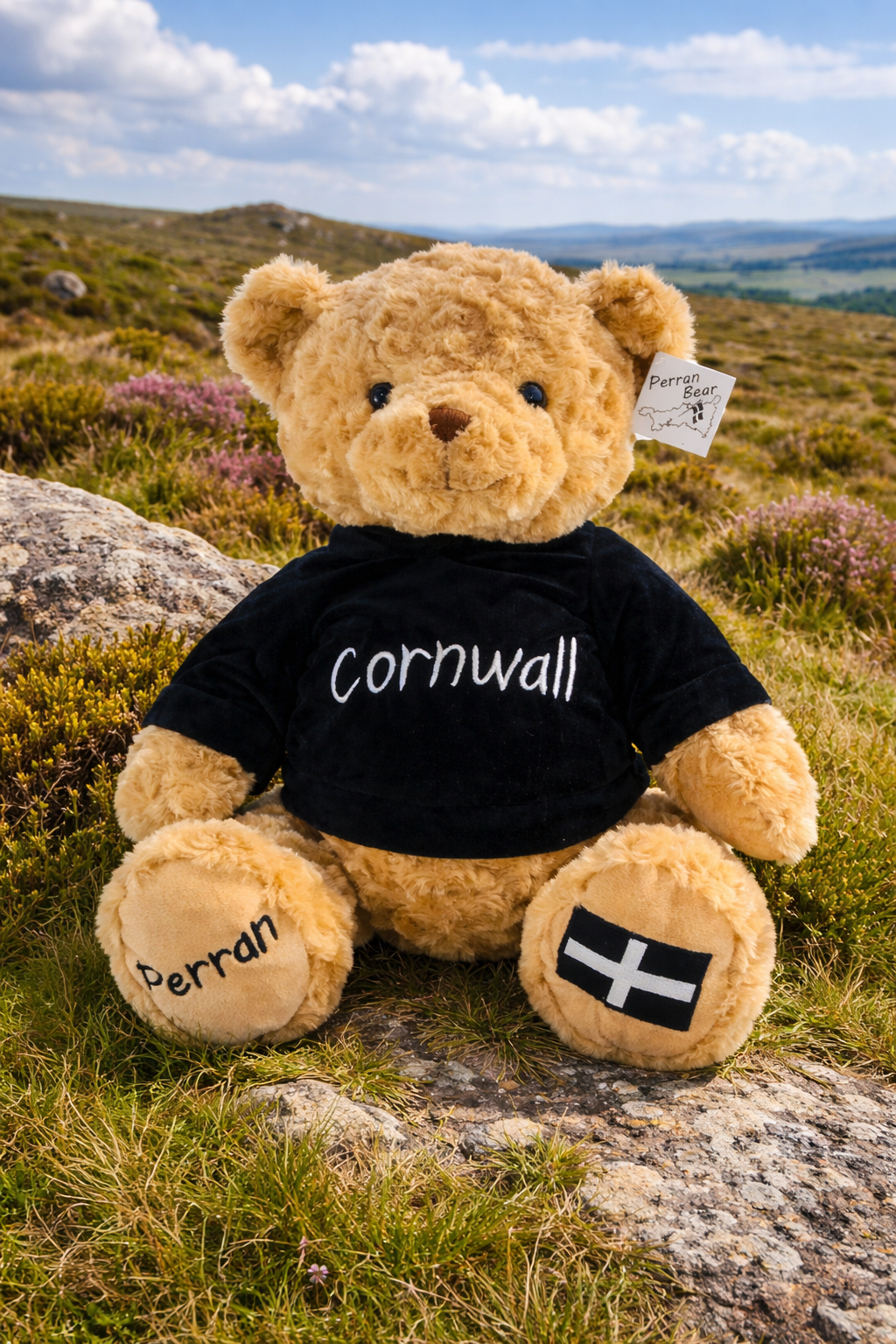 Cornwall's Eco Perran Bear 18cm Cornish Plush Teddy Bear